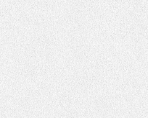 Tapeta ścienna AS Meistervlies 307271.jpg