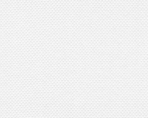 Tapeta ścienna AS Meistervlies 141217.jpg