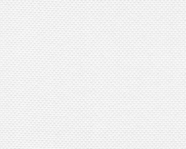 Tapeta ścienna AS Meistervlies 141217.jpg