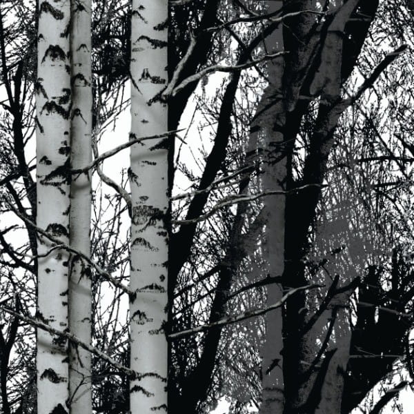 D-C-Fix 200-3197 45 cm okleina samoprzylepna, meblowa dekoracyjna brzoza, folia samoprzylepna na parapet, meble, blat kuchenny, drzwi