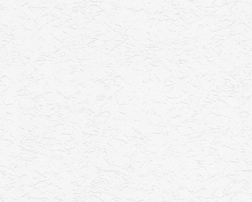 Tapeta ścienna AS Meistervlies 953711.jpg