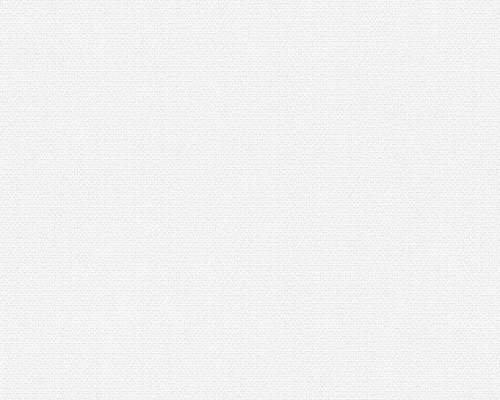 Tapeta ścienna AS Meistervlies 306616.jpg