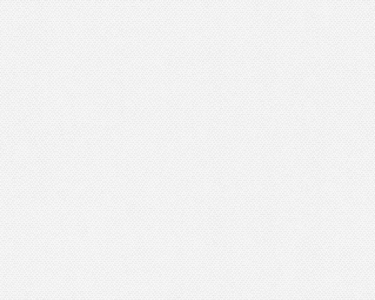 Tapeta ścienna AS Meistervlies 306616.jpg