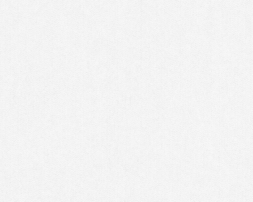 Tapeta ścienna AS Meistervlies 305817.jpg