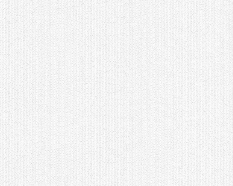 Tapeta ścienna AS Meistervlies 305817.jpg