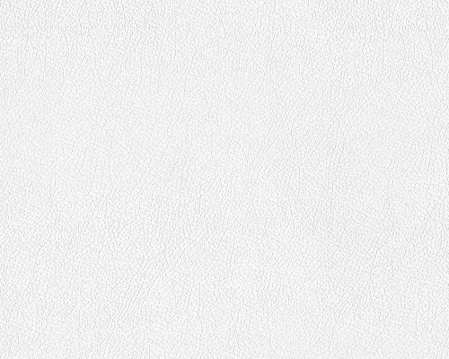 Tapeta ścienna AS Meistervlies 928818.jpg