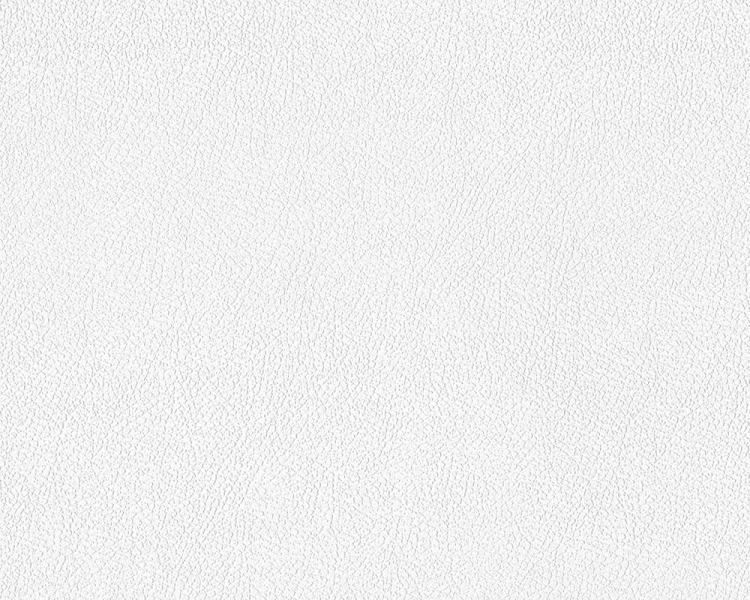 Tapeta ścienna AS Meistervlies 928818.jpg