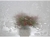 Okleina samoprzylepna, witrażowa, 200-3063, folia samoprzylepna na szybę, półprzeźroczysta, listki, damast