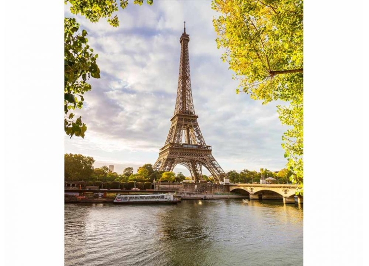 Fototapeta MS-3-0028 Seine in Paris flizelinowa Dimex