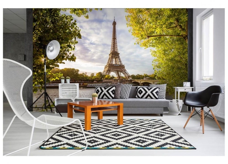 Fototapeta MS-5-0028 Seine in Paris flizelinowa Dimex