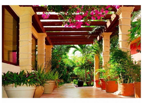 Fototapeta MS-5-0045 Terrace flizelinowa Dimex