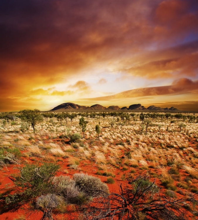 Fototapeta MS-3-0050 Australian Landscape fizelinowa Dimex