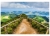 Fototapeta MS-5-0054 Walking Path flizelinowa Dimex