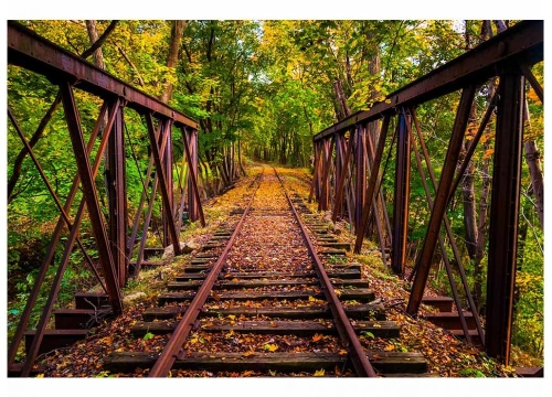 Fototapeta MS-5-0055 Railroad flizelinowa Dimex