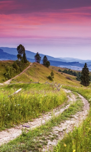 Fototapeta MS-2-0061 Kwitnące wzgórza flizelinowa Dimex