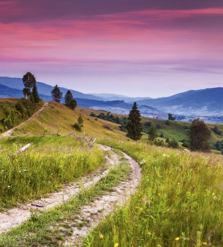 Fototapeta MS-3-0061 Kwitnące wzgórza fizelinowa Dimex