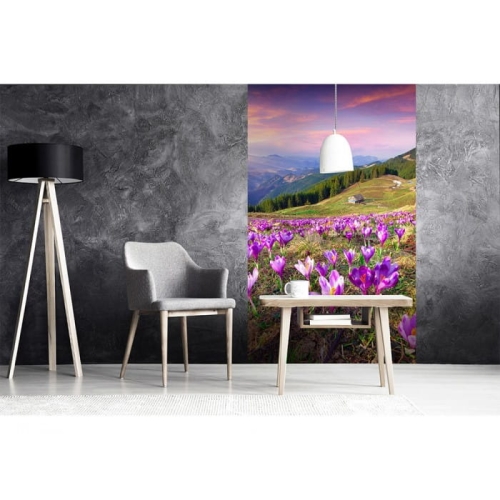 Fototapeta MS-2-0062 Krokusy na wiosnę flizelinowa Dimex