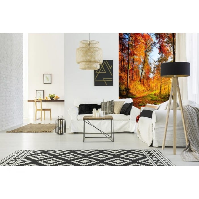 Fototapeta MS-2-0065 Leśny spacer flizelinowa Dimex