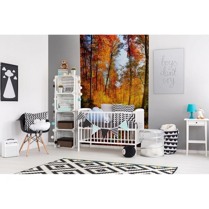 Fototapeta MS-2-0065 Leśny spacer flizelinowa Dimex