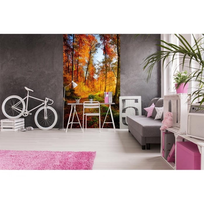 Fototapeta MS-2-0065 Leśny spacer flizelinowa Dimex