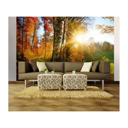 Fototapeta MS-5-0065 Leśny spacer flizelinowa Dimex