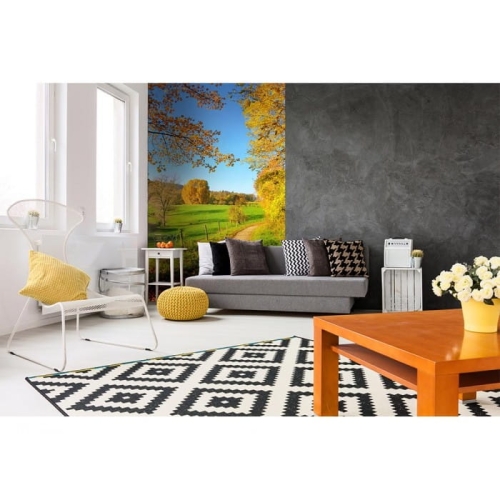 Fototapeta MS-2-0066 Łąka flizelinowa Dimex