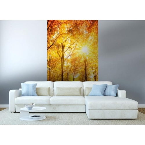 Fototapeta MS-2-0067 Słoneczny las flizelinowa Dimex