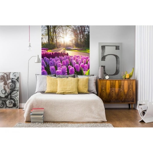 Fototapeta MS-2-0068 Kwiaty hiacyntu flizelinowa Dimex