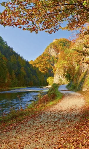 Fototapeta MS-2-0069 Dunajec flizelinowa Dimex