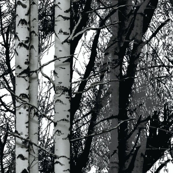 D-C-Fix 200-3197 45 cm okleina samoprzylepna, meblowa dekoracyjna brzoza, folia samoprzylepna na parapet, meble, blat kuchenny, drzwi