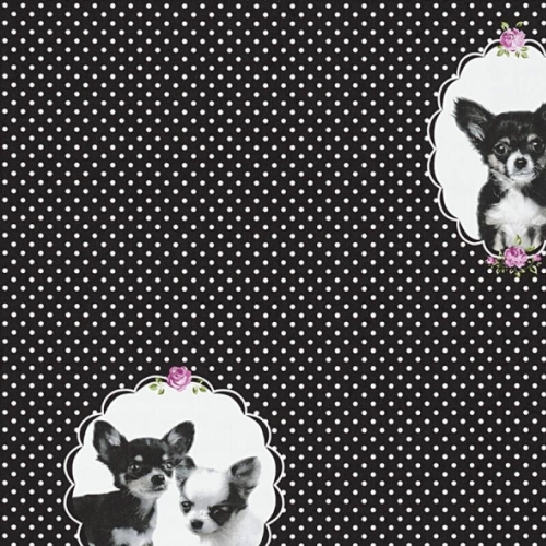 Tapeta AS Little Stars 35851-2, tapeta dziecięca, tapeta w kropki, tapeta w pieski