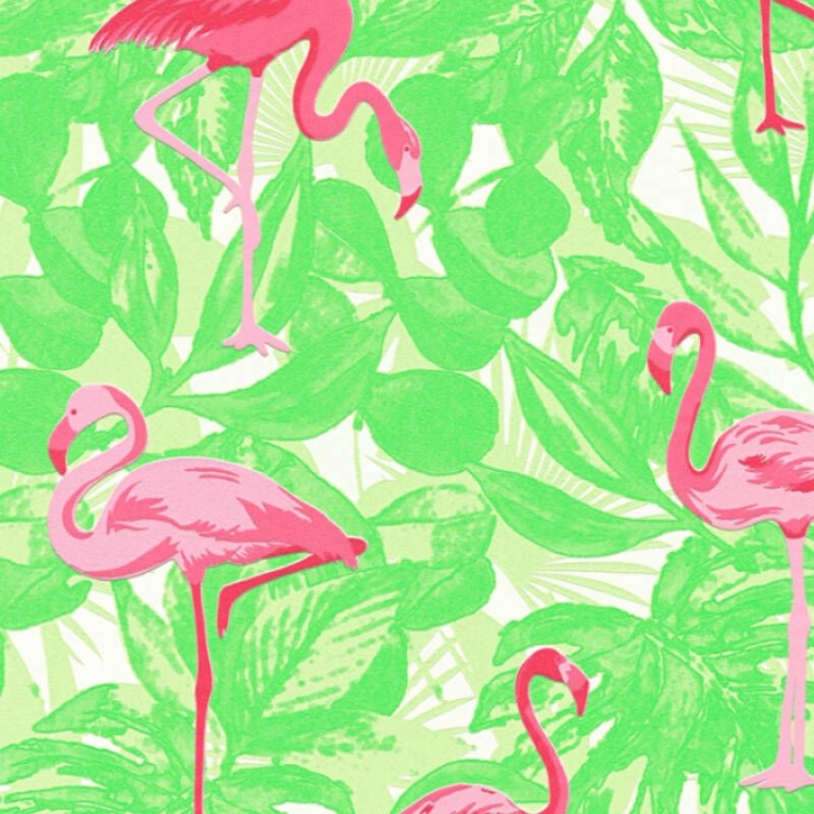 AS Boys Girls 6 359802 K.jpg