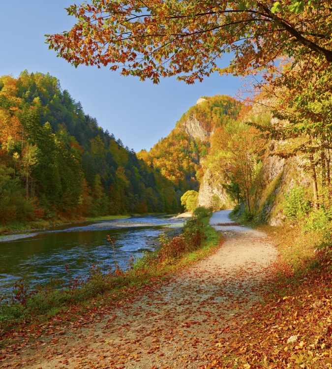 Fototapeta MS-3-0069 Dunajec fizelinowa Dimex