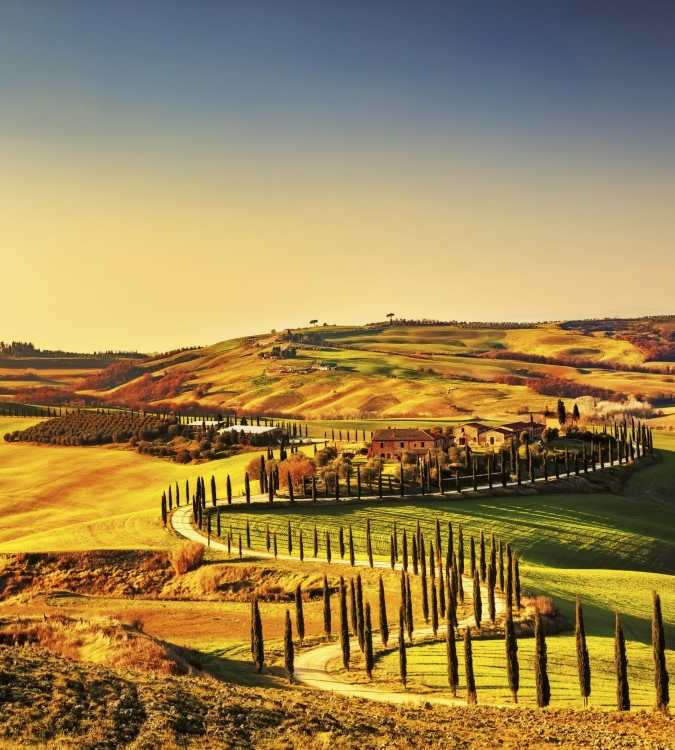 Fototapeta MS-3-0070 Toscania fizelinowa Dimex
