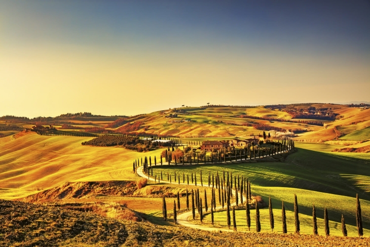 Fototapeta MS-5-0070 Toscania flizelinowa Dimex