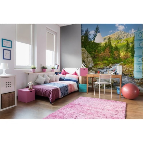 Fototapeta MS-3-0077 Dolina fizelinowa Dimex