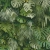 Tapeta ścienna na flizelinie AS Greenery w liście, palmy, monstery, 3D, 37280-2, zielony