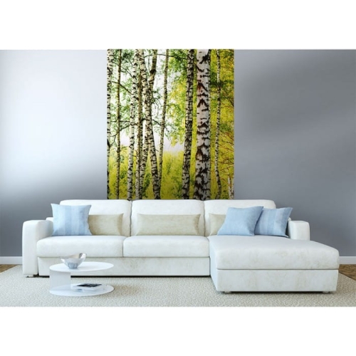 Fototapeta MS-2-0094 Las brzozowy flizelinowa Dimex