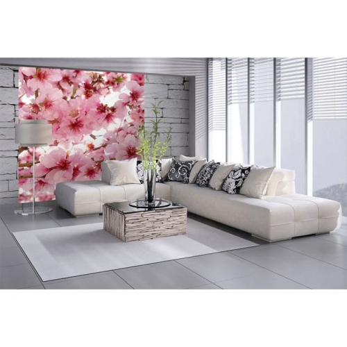 Fototapeta MS-3-0108 Kwiat jabłoni fizelinowa Dimex