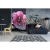 Fototapeta MS-2-0120 Orchidea flizelinowa Dimex