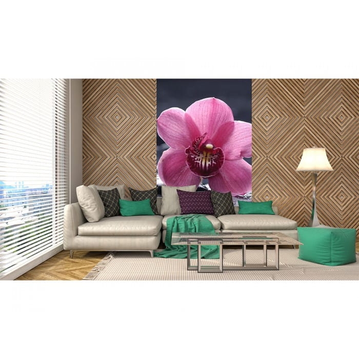 Fototapeta MS-2-0120 Orchidea flizelinowa Dimex