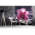 Fototapeta MS-3-0120 Orchidea fizelinowa Dimex
