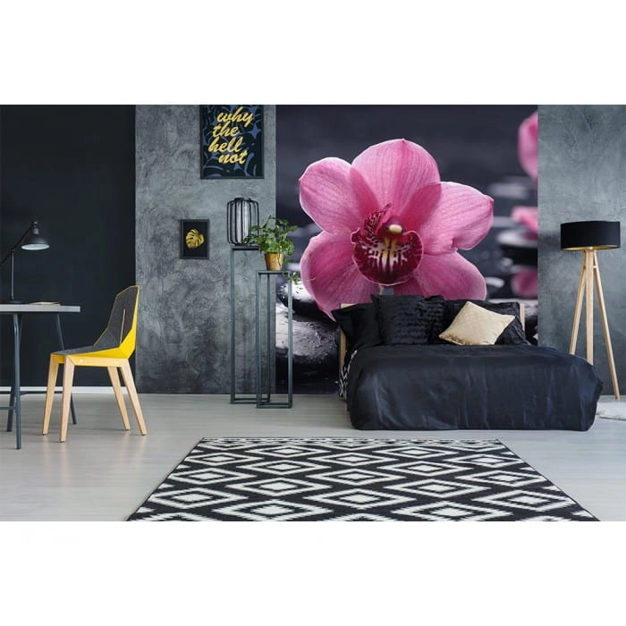 Fototapeta MS-3-0120 Orchidea fizelinowa Dimex