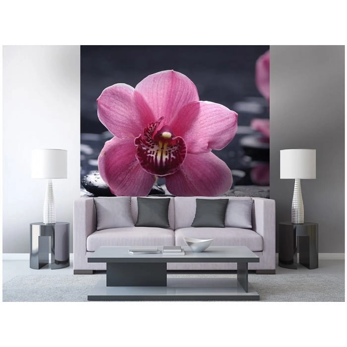 Fototapeta MS-3-0120 Orchidea fizelinowa Dimex