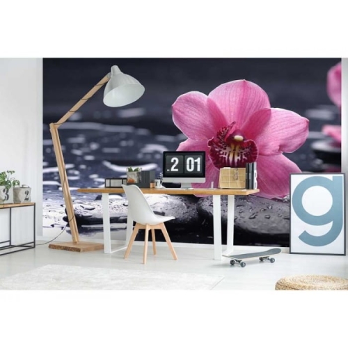 Fototapeta MS-5-0120 Orchidea flizelinowa Dimex