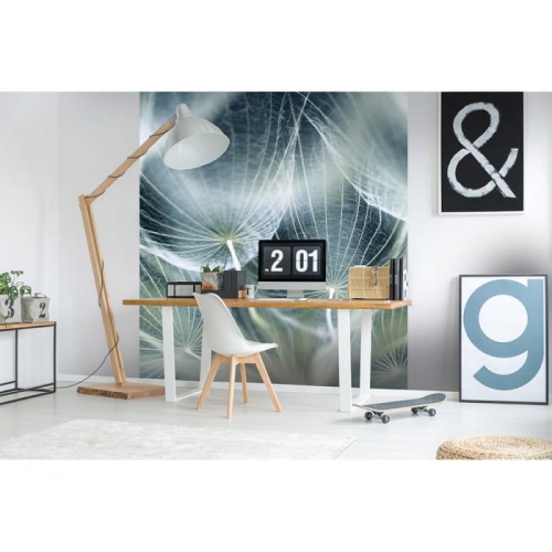 Fototapeta MS-3-0123 Dmuchawiec 3 fizelinowa Dimex