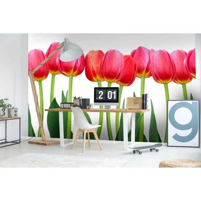 Fototapeta MS-5-0126 Tulipany flizelinowa Dimex