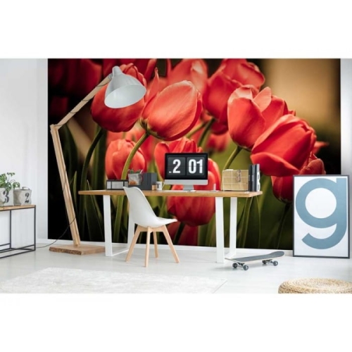Fototapeta MS-5-0128 Czerwone tulipany flizelinowa Dimex