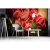 Fototapeta MS-5-0128 Czerwone tulipany flizelinowa Dimex