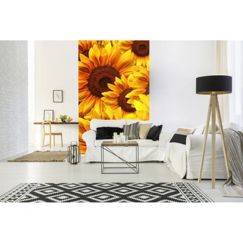 Fototapeta MS-2-0129 Słoneczniki flizelinowa Dimex